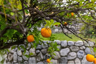 7444 Tranquil, Tujunga, CA 91042 - Photo 29