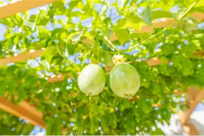 5848 Cleon Avenue, North Hollywood, CA 91601 - Photo 9