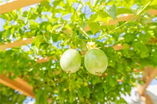 5848 Cleon Ave, North Hollywood, CA 91601 - Photo 9