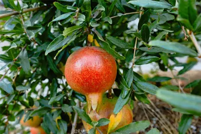 10147 Janetta, Sunland, CA 91040 - Photo 73