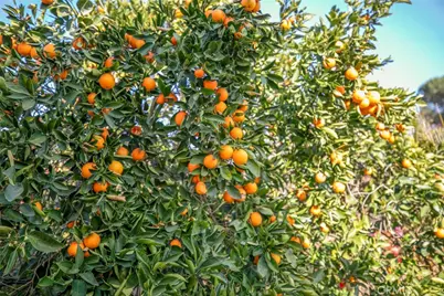 11020 Scoville Avenue, Sunland, CA 91040 - Photo 27