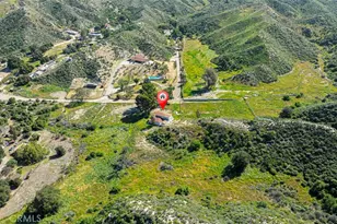 27506 Oak Spring Canyon Rd, Canyon Country, CA 91387 - Photo 39