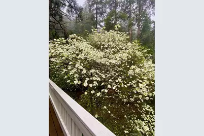 841 Cottage Grove Road, Lake Arrowhead, CA 92352 - Photo 29