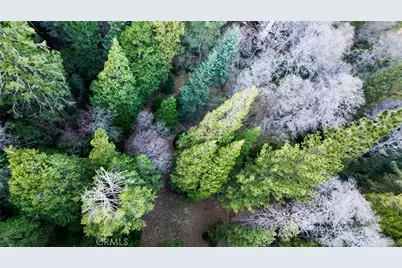 246 Cedar Ridge, Lake Arrowhead, CA 92352 - Photo 7