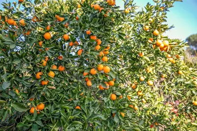 11020 Scoville Avenue, Sunland, CA 91040 - Photo 27