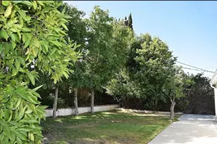 6165 Tony Ave, Woodland Hills, CA 91367 - Photo 11