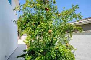 8435 Rincon Ave, Los Angeles, CA 91352 - Photo 61