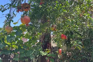 140 N Berkeley, Pasadena, CA 91107 - Photo 7