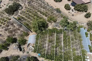 3010 Silver Ridge Dr, Pinon Hills, CA 92372 - Photo 51