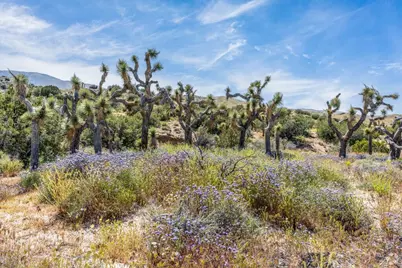 230 Vac/Vic, Llano, CA 93544 - Photo 7