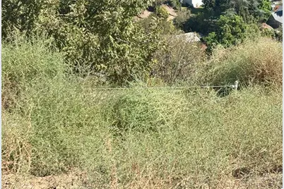 0 Andalusia Street, Mount Washington, CA 90065 - Photo 9