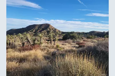 300 E Z12 Street, Llano, CA 93544 - Photo 7