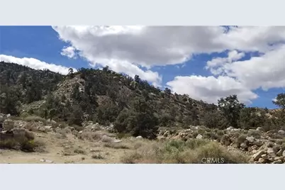 300 E Z12 Street, Llano, CA 93544 - Photo 17