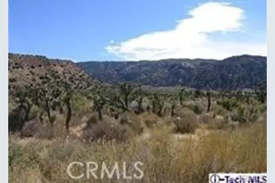 300 E Z12 Street, Llano, CA 93544 - Photo 29