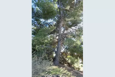 404 416 Mission Road, Glendale, CA 91205 - Photo 15