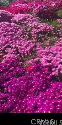 8555 Pigeon Pass Rd, Moreno Valley CA  92557-0203 exterior