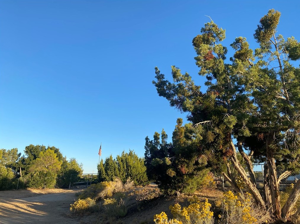 10025 Mountain Rd, Pinon Hills CA  92372-9393 exterior