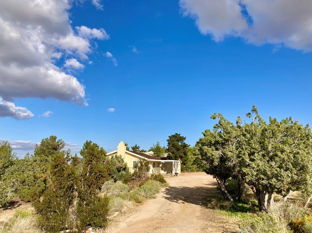 10025 Mountain Rd, Pinon Hills CA  92372-9393 exterior