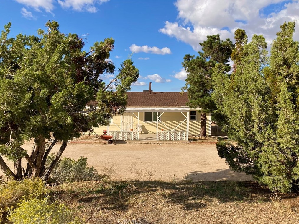 10025 Mountain Rd, Pinon Hills CA  92372-9393 exterior