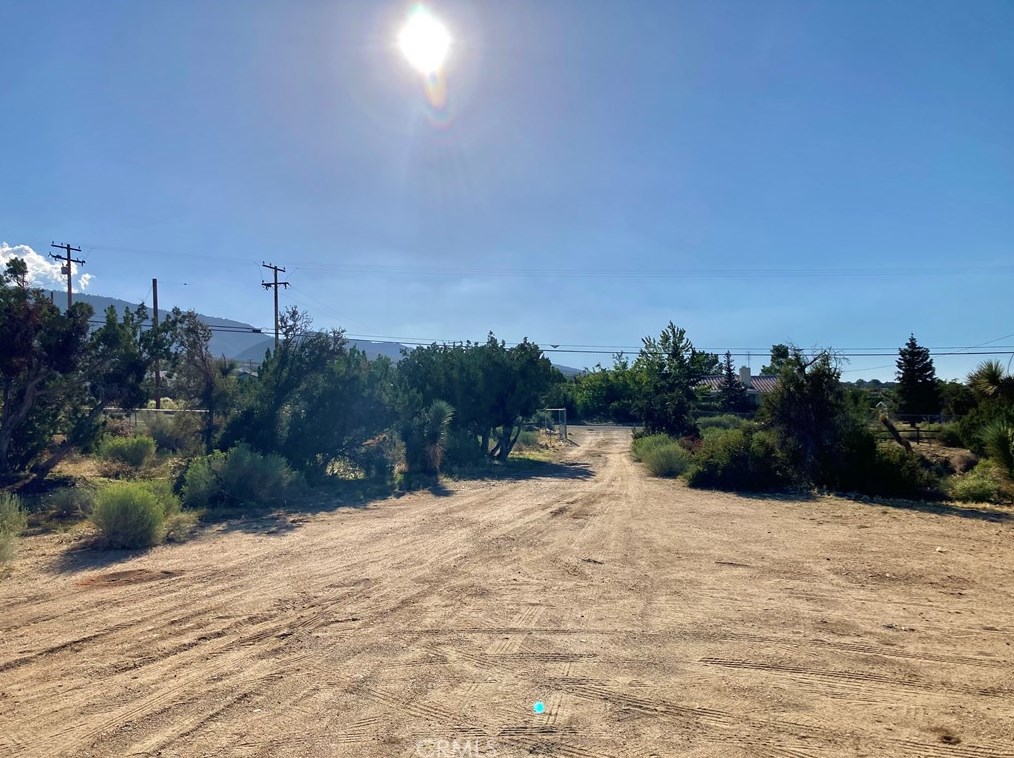 10025 Mountain Rd, Pinon Hills CA  92372-9393 exterior
