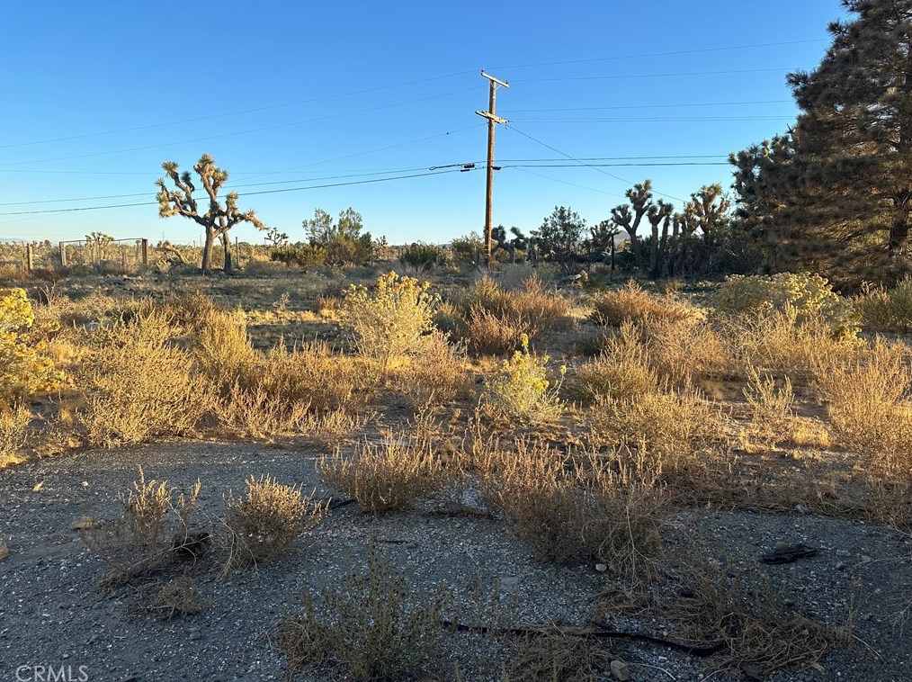 3887 Daisy Ln, Phelan CA  92371-6719 exterior