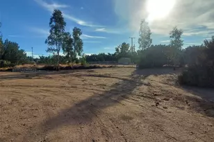 10521 Hollister Rd, Oak Hills, CA 92344 - Photo 31