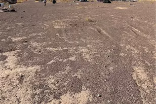 46262 Magney Ln, Newberry Springs, CA 92365 - Photo 1