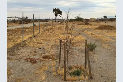 3185 Olivera Road, Phelan, CA 92371 - Photo 7