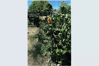 10419 Cimmeron Trail Drive, Adelanto, CA 92301 - Photo 27