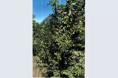 10419 Cimmeron Trail Drive, Adelanto, CA 92301 - Photo 31