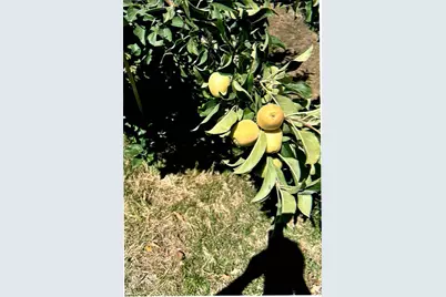 10419 Cimmeron Trail Drive, Adelanto, CA 92301 - Photo 29