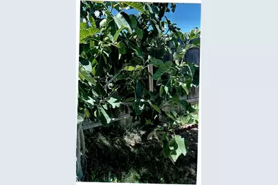 10419 Cimmeron Trail Drive, Adelanto, CA 92301 - Photo 33