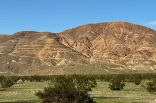 37152 Indian Ave, Yermo, CA 92398 - Photo 29