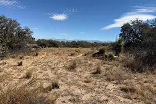 8135 Joshua St, Phelan, CA 92371 - Photo 1