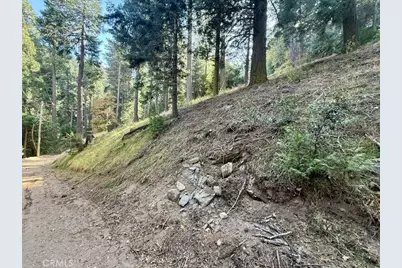 0 Burnt Mill Canyon Road, Cedarpines Park, CA 92322 - Photo 1