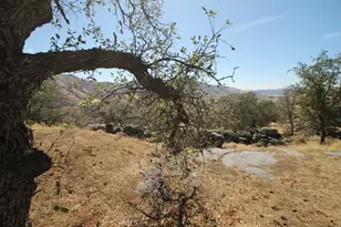 35616 Arrowhead Ln, Squaw Valley, CA 93675 - Photo 11