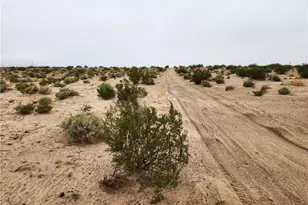 3 Ac Near Fairview Rd, Newberry Springs, CA 92365 - Photo 1
