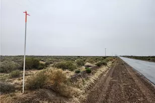 45230 Fairview Rd, Newberry Springs, CA 92365 - Photo 1