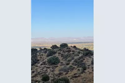 8320 Zohra Canyon Road, Pinon Hills, CA 92372 - Photo 5