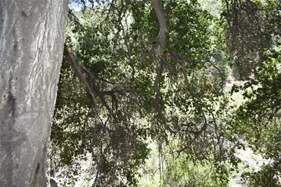 0 Vac Calle El Baranco/Vic Spunk, Green Valley, CA 91350 - Photo 7