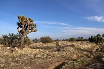 9955 Macron Street, Oak Hills, CA 92344 - Photo 5