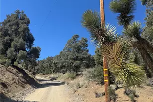 41112 Jack Rabbit Rd, Pinon Hills, CA 92372 - Photo 1