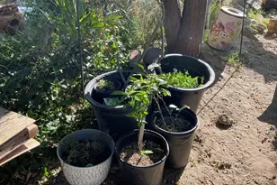 51820 Date Ave, Cabazon, CA 92230 - Photo 5