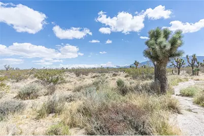 0 Bear Valley Road, Pinon Hills, CA 92372 - Photo 13