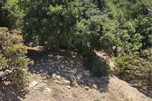 1187 Brentwood Dr, Lake Arrowhead, CA 92352 - Photo 1