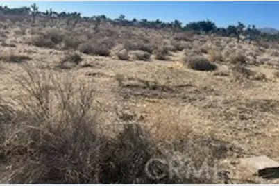 0 Pine Tree Road, Pinon Hills, CA 92372 - Photo 1