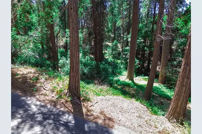 590 Electra Drive, Crestline, CA 92325 - Photo 11