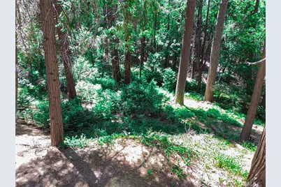 590 Electra Drive, Crestline, CA 92325 - Photo 9