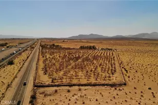 45534 Hacienda Rd, Yermo, CA 92398 - Photo 3