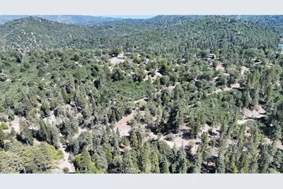 29629 Little Bear Creek Road, Cedar Glen, CA 92321 - Photo 15